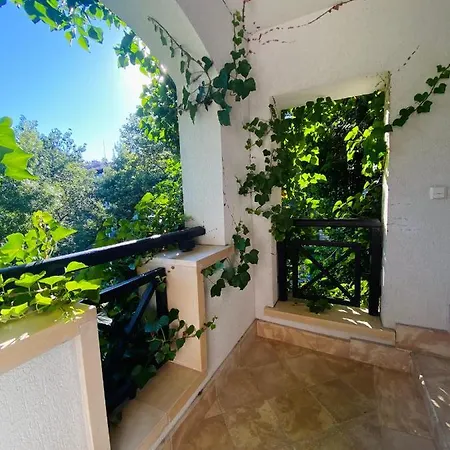 La Terraza Del Oasis